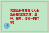 灵芝品种芝芝图片大全及价格(芝芝灵芝：品种、图片、价格一网打尽)