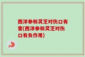西洋参和灵芝对伤口有害(西洋参和灵芝对伤口有负作用)