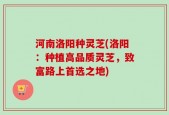 河南洛阳种灵芝(洛阳：种植高品质灵芝，致富路上首选之地)
