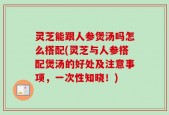 灵芝能跟人参煲汤吗怎么搭配(灵芝与人参搭配煲汤的好处及注意事项，一次性知晓！)