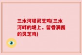 三水河堤灵芝鸡(三水河畔的堤上，留香满园的灵芝鸡)