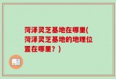 菏泽灵芝基地在哪里(菏泽灵芝基地的地理位置在哪里？)