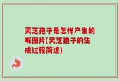 灵芝孢子是怎样产生的呢图片(灵芝孢子的生成过程简述)