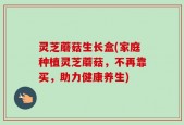 灵芝蘑菇生长盒(家庭种植灵芝蘑菇，不再靠买，助力健康养生)