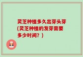 灵芝种植多久出芽头芽(灵芝种植的发芽需要多少时间？)