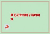 灵芝花生炖鸽子汤的功效