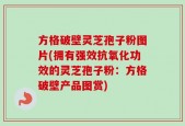 方格破壁灵芝孢子粉图片(拥有强效抗氧化功效的灵芝孢子粉：方格破壁产品图赏)