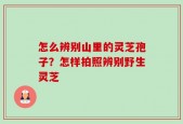 怎么辨别山里的灵芝孢子？怎样拍照辨别野生灵芝