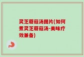 灵芝蘑菇汤图片(如何煮灵芝蘑菇汤-美味疗效兼备)