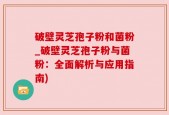 破壁灵芝孢子粉和菌粉_破壁灵芝孢子粉与菌粉：全面解析与应用指南)