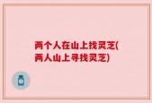 两个人在山上找灵芝(两人山上寻找灵芝)