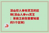 深山挖人参和灵芝的区别(深山人参vs灵芝：采摘之前你需要知道的5个区别)
