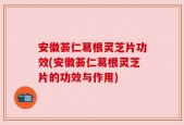 安徽荟仁葛根灵芝片功效(安徽荟仁葛根灵芝片的功效与作用)