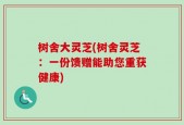 树舍大灵芝(树舍灵芝：一份馈赠能助您重获健康)