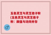 五色灵芝与灵芝孢子粉(五色灵芝与灵芝孢子粉：颜值与功效并存