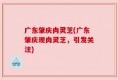 广东肇庆肉灵芝(广东肇庆现肉灵芝，引发关注)