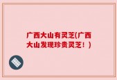 广西大山有灵芝(广西大山发现珍贵灵芝！)
