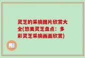 灵芝的采摘图片欣赏大全(悠美灵芝盘点：多彩灵芝采摘画面欣赏)