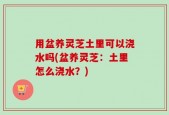 用盆养灵芝土里可以浇水吗(盆养灵芝：土里怎么浇水？)