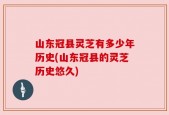 山东冠县灵芝有多少年历史(山东冠县的灵芝历史悠久)