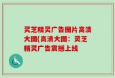 灵芝精灵广告图片高清大图(高清大图：灵芝精灵广告震撼上线