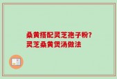 桑黄搭配灵芝孢子粉？灵芝桑黄煲汤做法