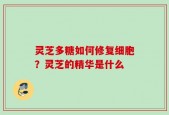 灵芝多糖如何修复细胞？灵芝的精华是什么