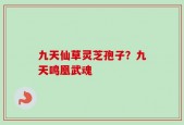 九天仙草灵芝孢子？九天鸣凰武魂