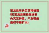 玉龙县石头灵芝种植面积(玉龙县积极推进石头灵芝种植，产业覆盖面积不断扩大)