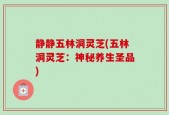 静静五林洞灵芝(五林洞灵芝：神秘养生圣品)