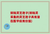 郑陆灵芝孢子(郑陆灵采集的灵芝孢子具有潜在医学应用价值)
