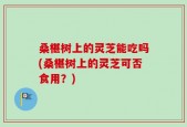 桑椹树上的灵芝能吃吗(桑椹树上的灵芝可否食用？)