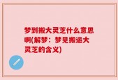 梦到搬大灵芝什么意思啊(解梦：梦见搬运大灵芝的含义)