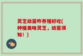 灵芝幼苗咋养殖好吃(种植美味灵芝，幼苗须知！)