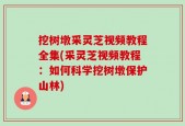 挖树墩采灵芝视频教程全集(采灵芝视频教程：如何科学挖树墩保护山林)