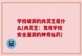 学校破洞的肉灵芝是什么(肉灵芝：发现学校安全漏洞的神奇仙药)