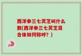 西洋参三七灵芝叫什么散(西洋参三七灵芝混合体如何称呼？)