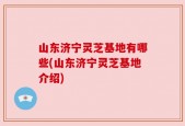 山东济宁灵芝基地有哪些(山东济宁灵芝基地介绍)