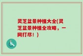 灵芝盆景种植大全(灵芝盆景种植全攻略，一网打尽！)