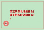 灵芝的东北话是什么(灵芝的东北话叫什么？)