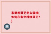 家里养灵芝怎么栽植(如何在家中种植灵芝？)