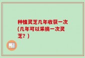 种植灵芝几年收获一次(几年可以采摘一次灵芝？)