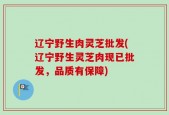 辽宁野生肉灵芝批发(辽宁野生灵芝肉现已批发，品质有保障)