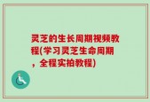 灵芝的生长周期视频教程(学习灵芝生命周期，全程实拍教程)