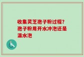 收集灵芝孢子粉过程？孢子粉用开水冲泡还是温水泡