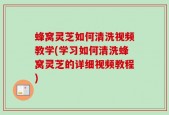 蜂窝灵芝如何清洗视频教学(学习如何清洗蜂窝灵芝的详细视频教程)
