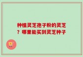 种植灵芝孢子粉的灵芝？哪里能买到灵芝种子