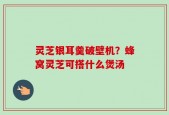 灵芝银耳羹破壁机？蜂窝灵芝可搭什么煲汤