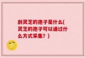刮灵芝的孢子是什么(灵芝的孢子可以通过什么方式采集？)