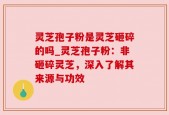灵芝孢子粉是灵芝砸碎的吗_灵芝孢子粉：非砸碎灵芝，深入了解其来源与功效